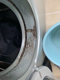 Chai tẩy MOLD CLEANER