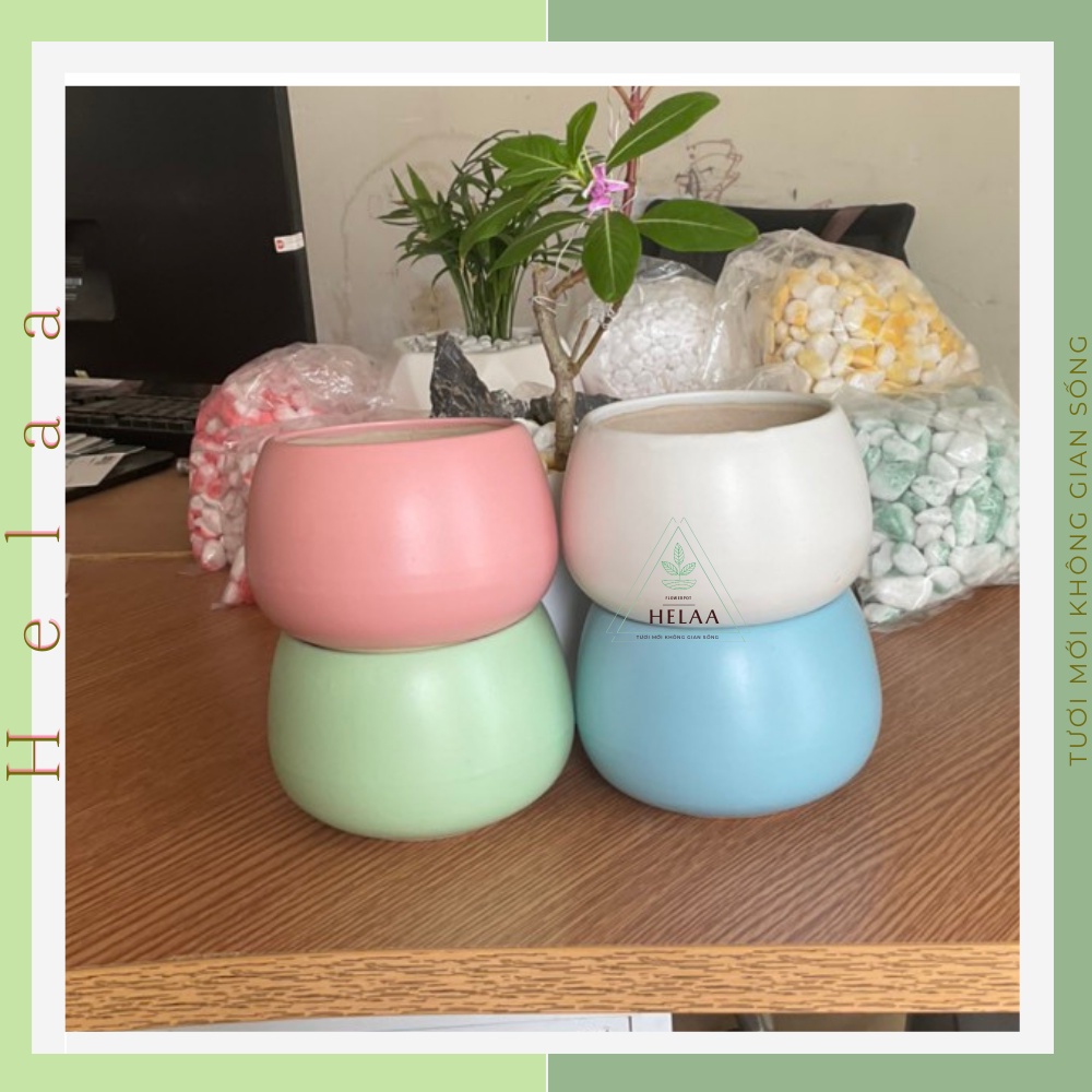 Chậu Sứ Mini Bát Tràng, Chậu Gốm Sứ Trồng Cây Để Bàn, Trồng Sen Đá, Xương Rồng, Trang Trí Bàn Làm Việc - Size Tầm Trung