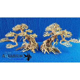 Cây Bonsai cho hồ cá size trung