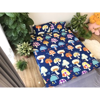 Bộ ga gối poly drap 1m6x2m mã hàng m11