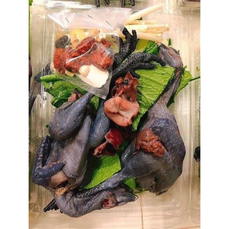 Gà tần thuốc bắc khay 2 con