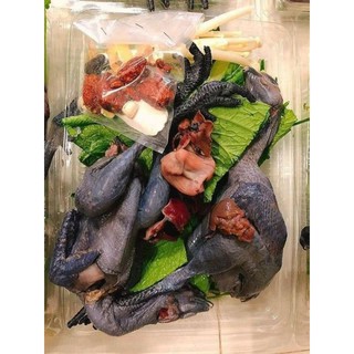Gà tần thuốc bắc khay 2 con