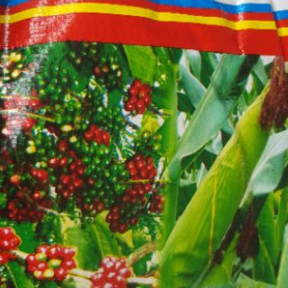 Phân trùn quế(1kg)