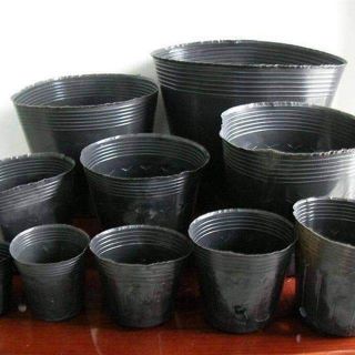 Bầu ươm đủ kích cỡ com bo 10 bầu 15k