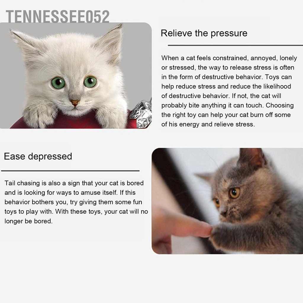 Tennessee052 22 cái Đồ chơi cho mèo Nhiều sự kết hợp khác nhau quả cầu lông vũ tương tác