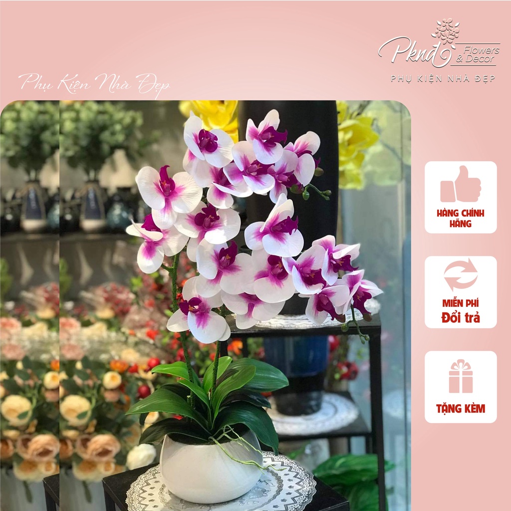 [Mã BMBAU50 giảm 7% đơn 99K] Chậu hoa giả lan hồ điệp chất cao su cao cấp PKND FLOWERS &amp; DECOR