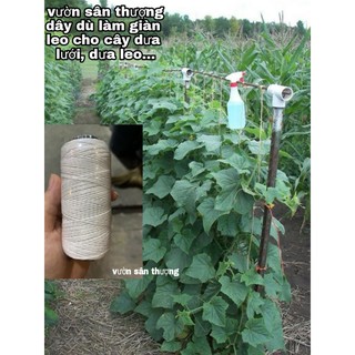 (10 Mét) Dây Dù Làm Giàn Leo Cho Cây Dưa Lưới, Dưa Leo..