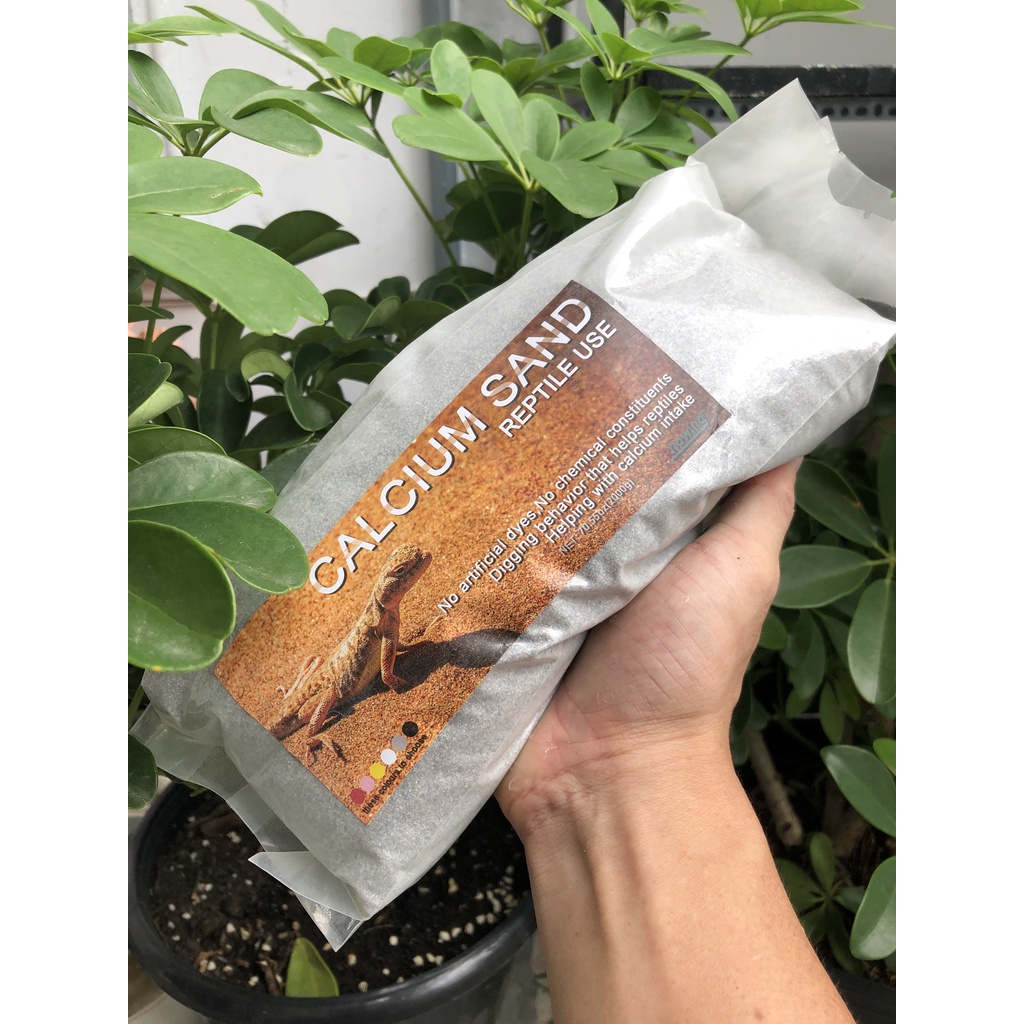 Cát sa mạc dành cho bò sát túi 2kg