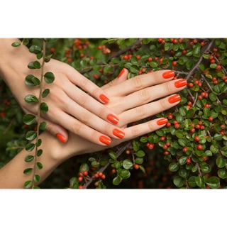 [𝐓𝐇𝐔 𝐎𝐏𝐈] Sơn OPI Chính Hãng Mỹ : NL H47
