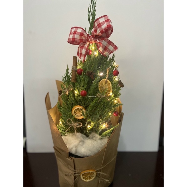 Cây sơn tùng trang trí noel