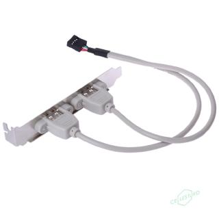 CS 2 Port Rear Panel Bracket Motherboard Cable USB 2.0 Connector Cable Adapter