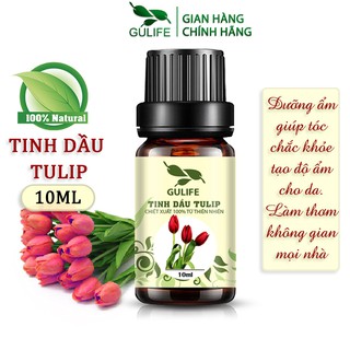 ✅ [ Nguyên Chất ] Tinh dầu Tuylip GULIFE Chiết Xuất Hoàn Toàn Từ Thiên Nhiên - Làm Thơm Phòng & Tăng Miễn Dịch