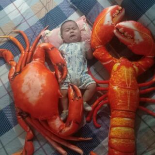 Gối ôm 3d tôm hùm 1m