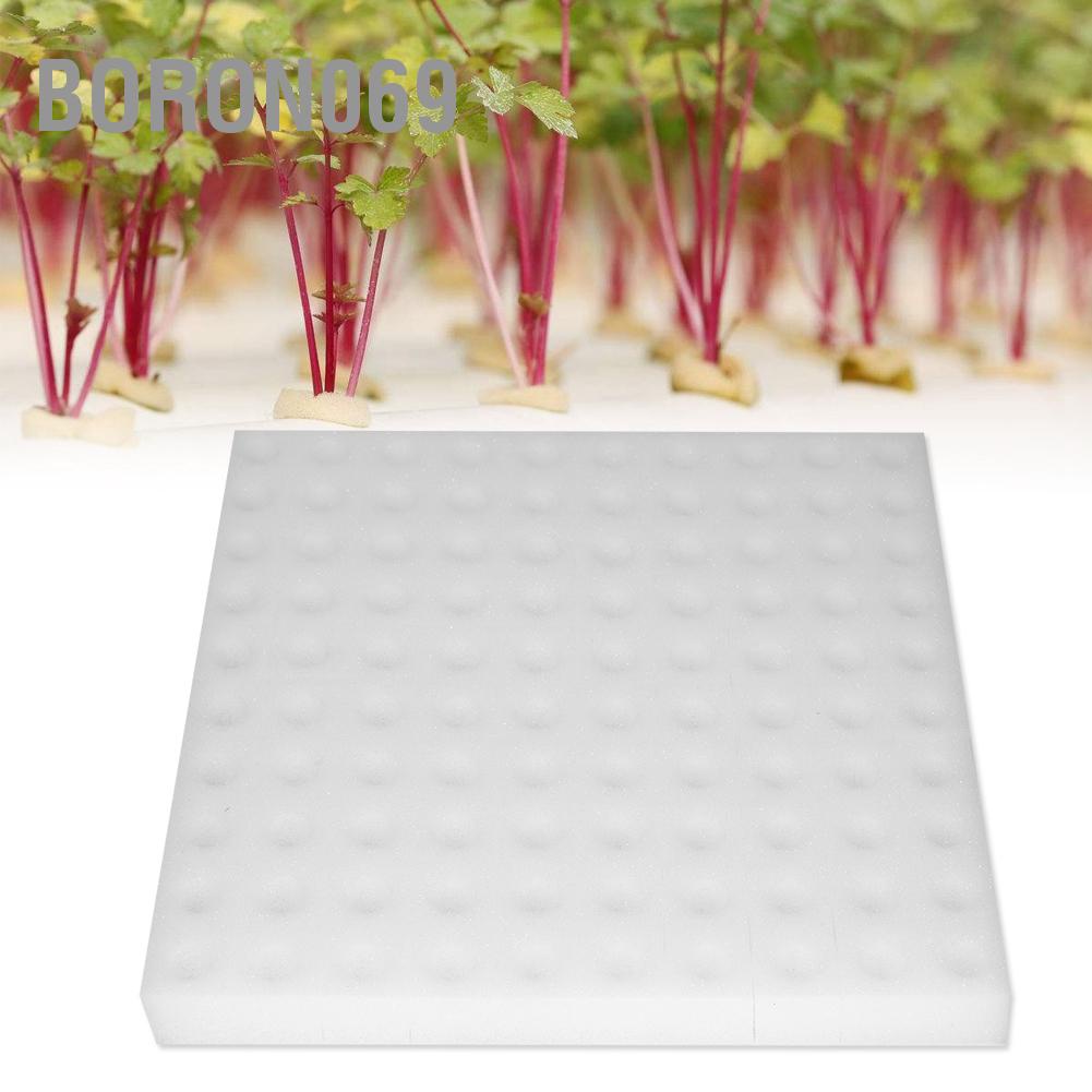 Boron069 100Pcs Hydroponic Sponge Planting Gardening Tool Square Seedling Sponges for Greenhouse