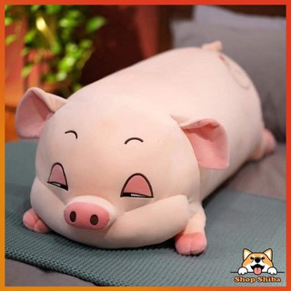 Gấu Bông Heo Lười Mắt Híp Size 70cm -