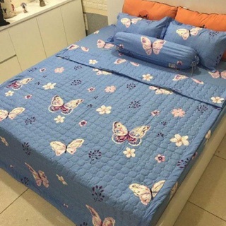 Set 5 món