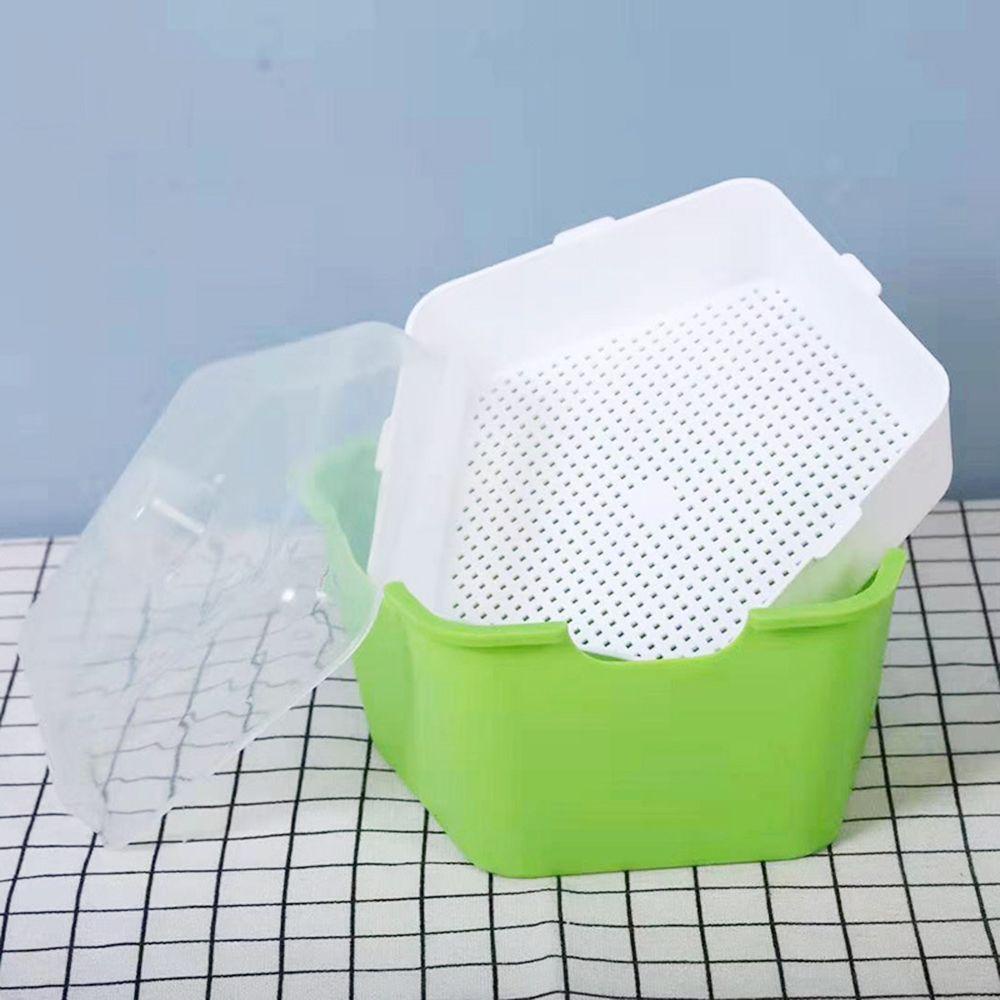 Khay Gieo Hạt Trồng Cây Thủy Canh Không Cần Đất