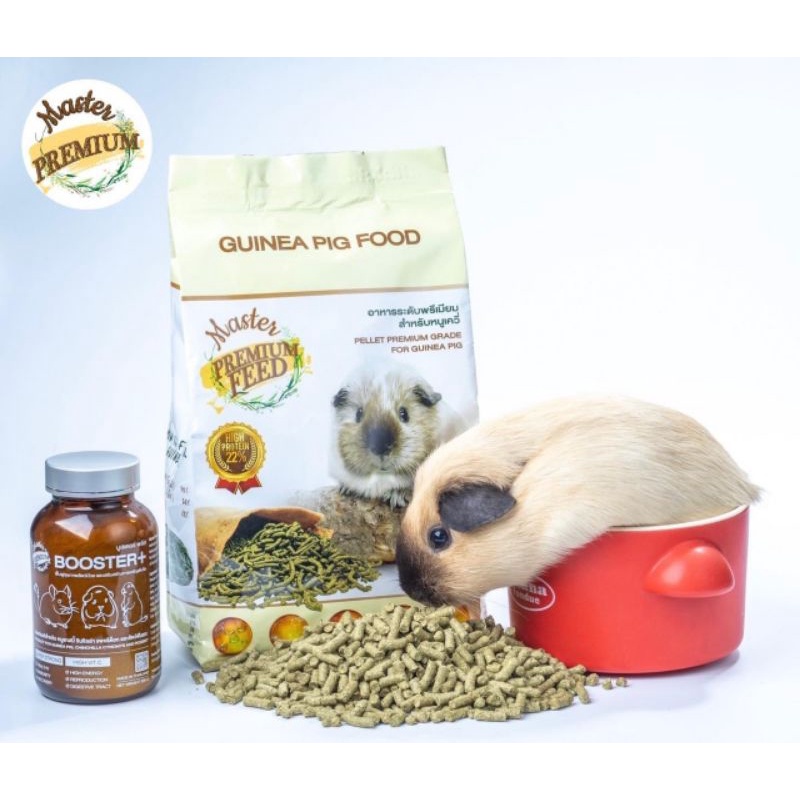 Nén Master Premium Feed Gấp 7 Lần Dinh Dưỡng Dành Cho Bọ Ú - Sóc Bắc Mỹ