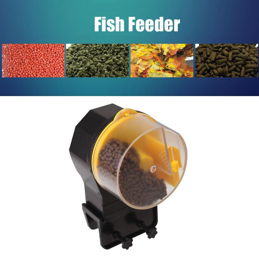 Layor1 Thiết Bị Hẹn Giờ Điện Tử Điều Chỉnh Thời Gian Cho Cá Ăn