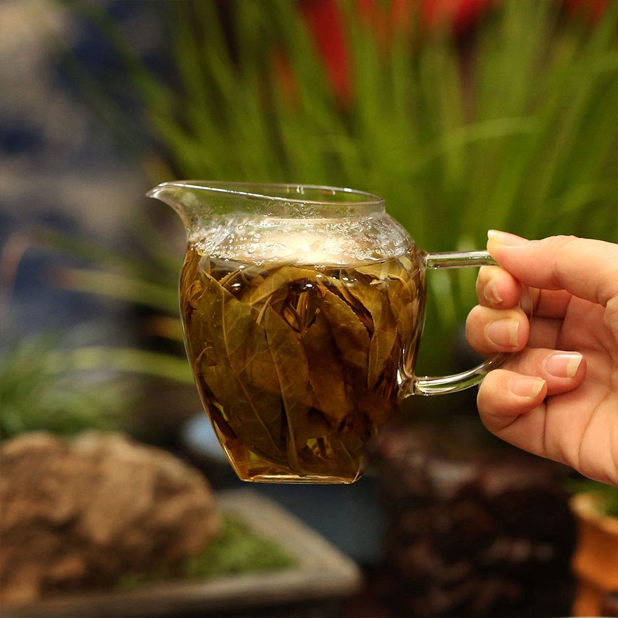 Trà Chít Shan Tuyết Cổ Thụ Hà Giang Dòng Trà Đặc Sản Của Người Dao Đỏ  túi 100gram