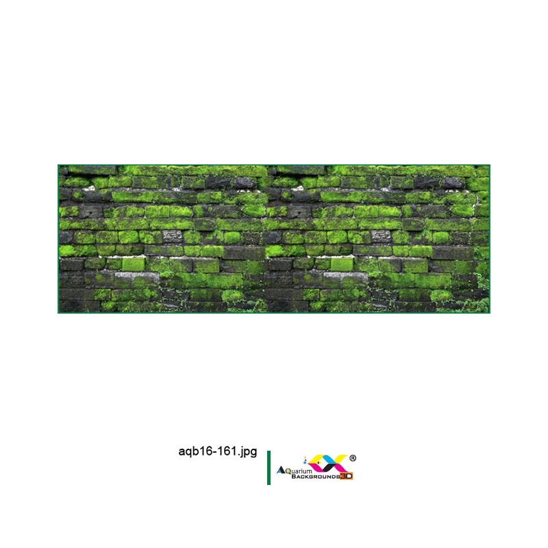 Tranh dán bể cá cá 3d, phông nền hồ cá siêu đẹp và nét, có keo sẵn trên bề mặt,đa dạng kích thước (KTT14-006 & AQB16-161