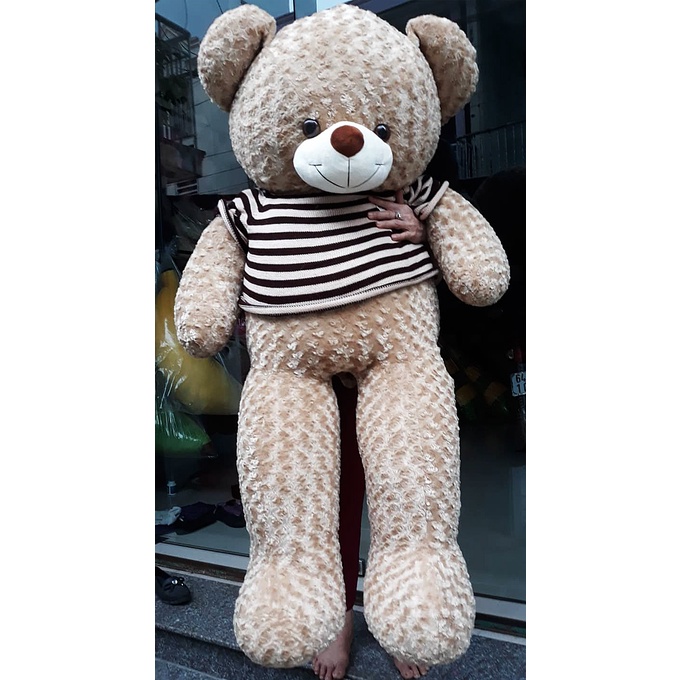 Thú nhồi Bông Teddy Siêu To Màu Nâu Đậm gấu bông giá rẻ cao cấp bảo hành 6 tháng