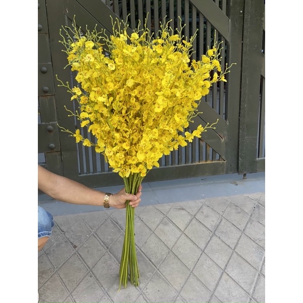Cành hoa lan vũ nữ hàng Thái Lan 8 nhánh màu vàng