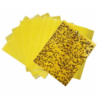 băng keo dính bẫy Ruồi vàng KR-2015, Tấm dính Ruồi Muỗi Ong, Keo bẫy Ruồi Dấm