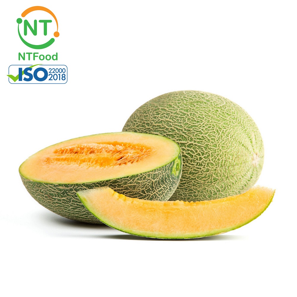 [HCM] 1 Trái Dưa lưới Đài Loan Aladin Melon size 1.5 Kg NTFood - Nhất Tín Food thumbnail