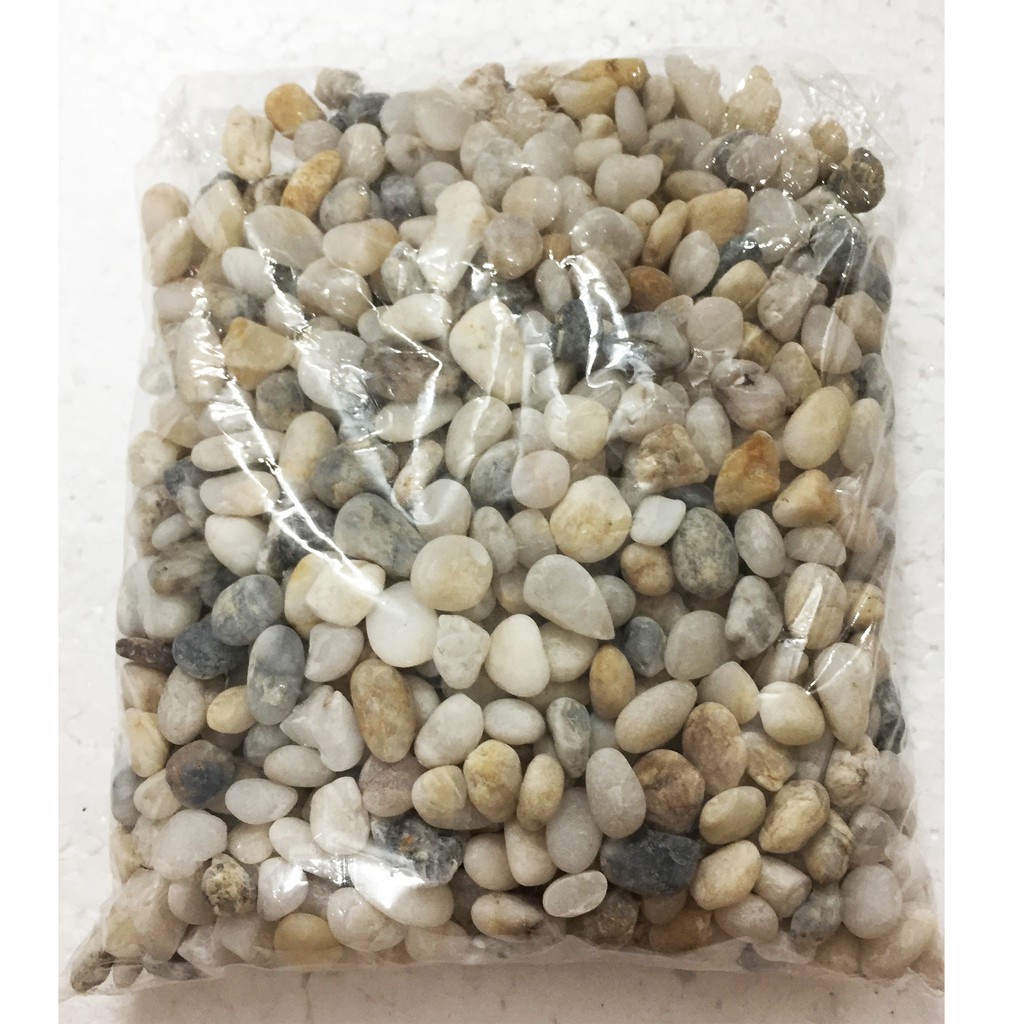 1kg Sỏi Biển Thiên Nhiên Trang Trí Hồ Cá, Lót Chậu, Sân Vườn Thủy Sinh
