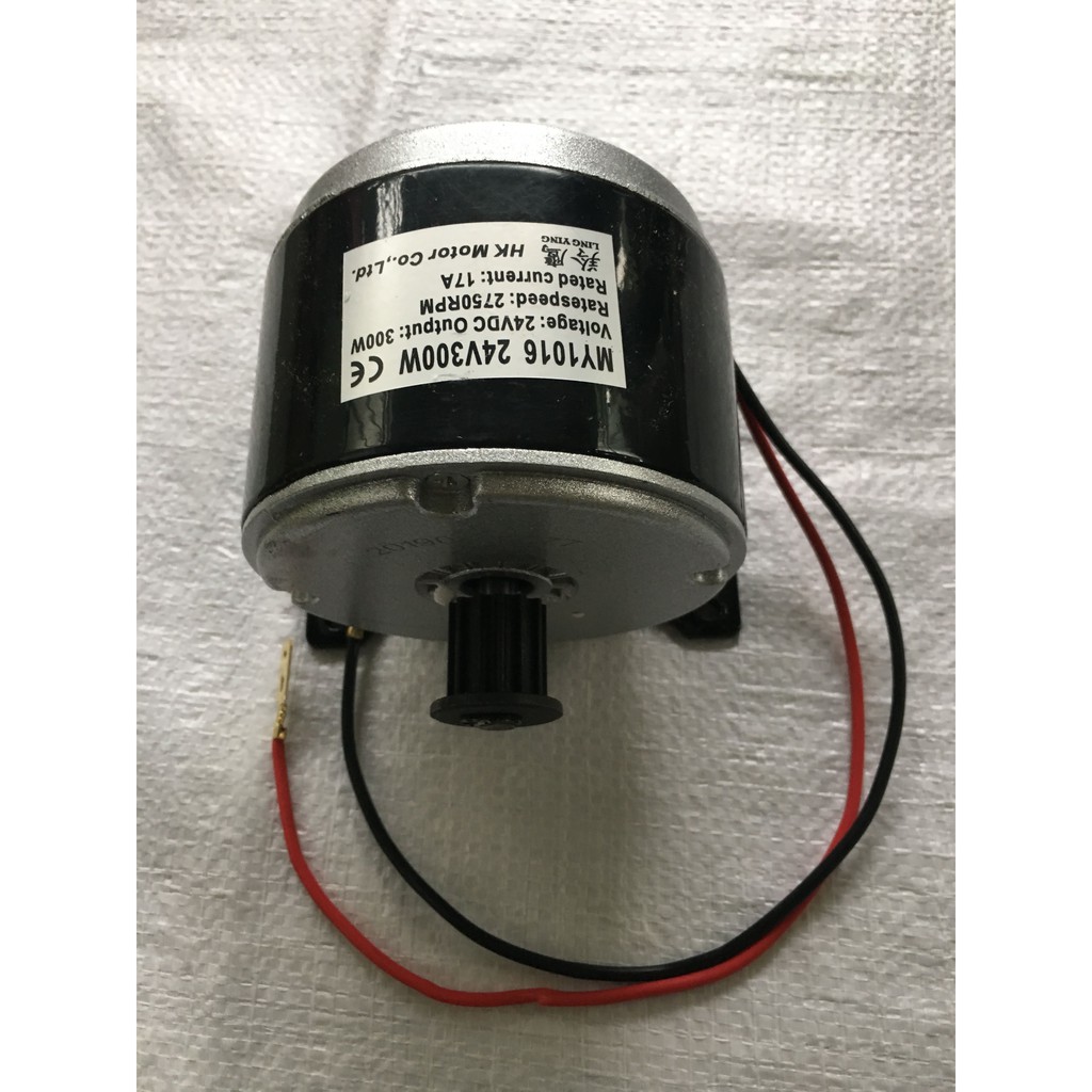 Motor 24V 250W 300W Chạy buly dây Curoa 5M