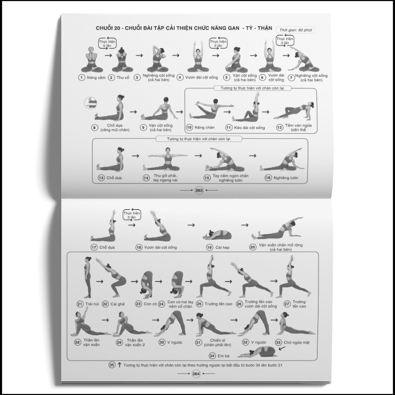 Sách - Hệ thống 1500 biến thể tư thế, 100 chuỗi bài Yoga liên hoàn
