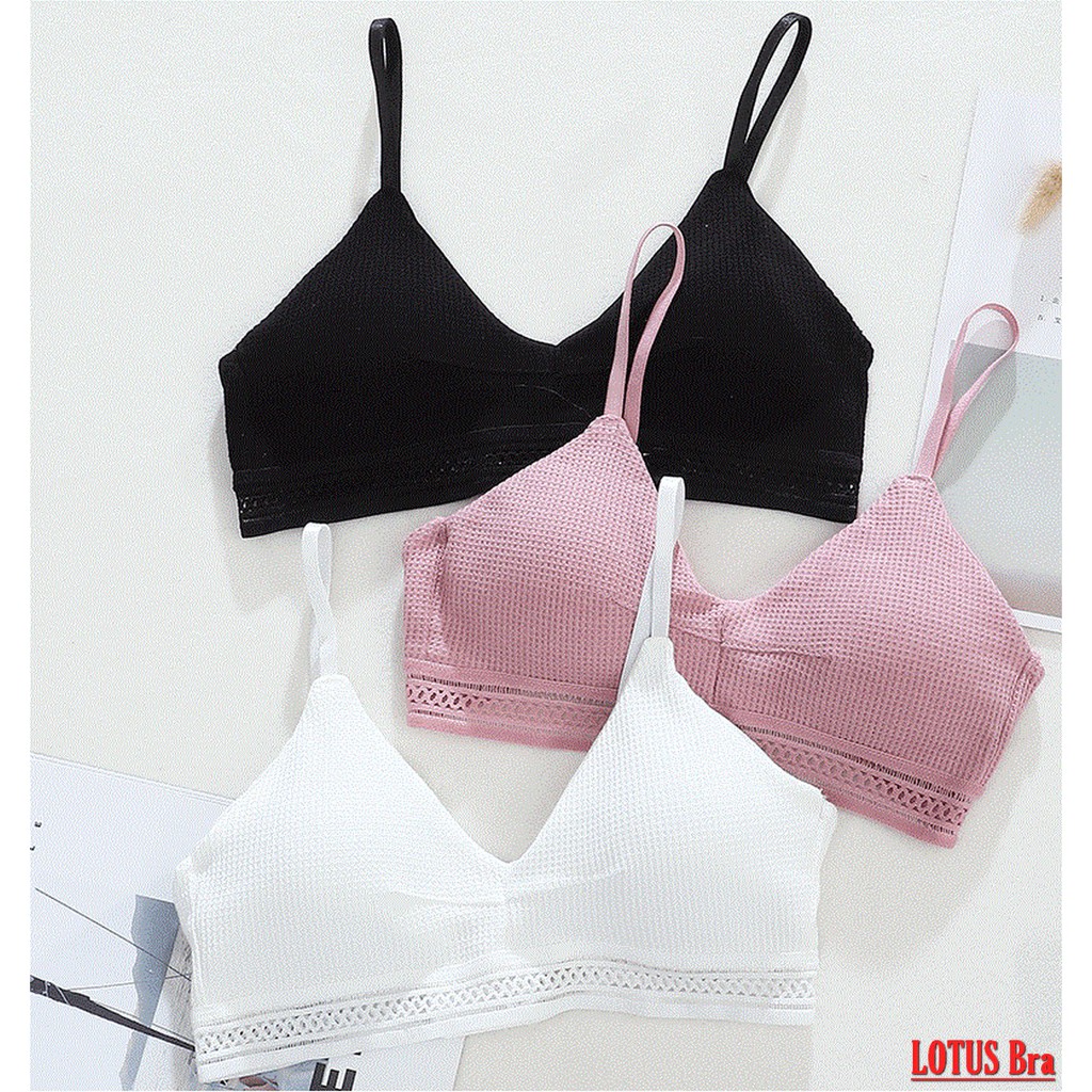 Áo Bralette cotton mềm không gọng mút mỏng cài sau có dây điều chỉnh_AL37 NuciFera