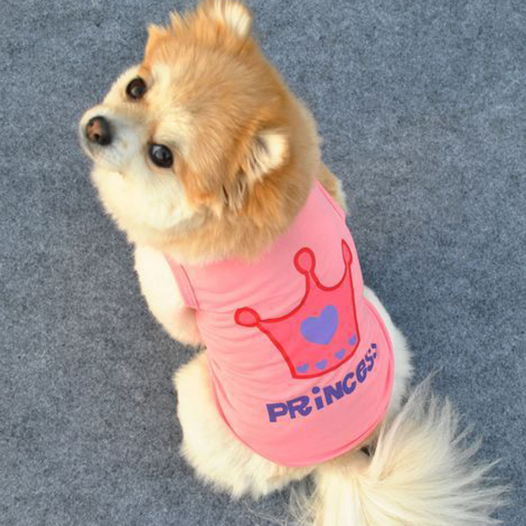 Áo ba lỗ thú cưng nhiều màu sắc thời trang mùa hè