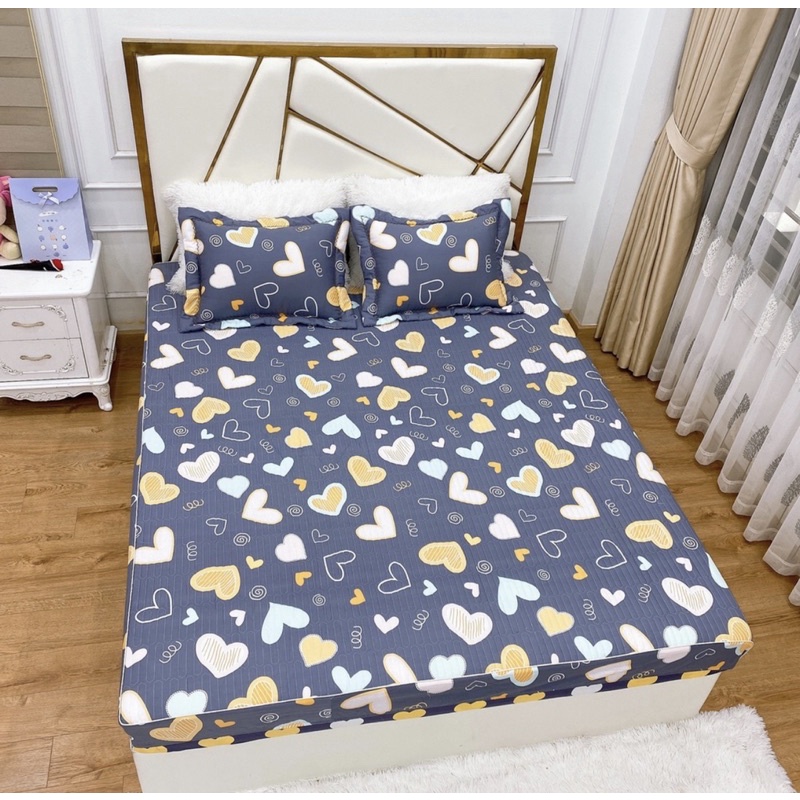 Bộ ga chun trần cotton hàn quốc kèm 2 vỏ gối nằm lót bông đẹp