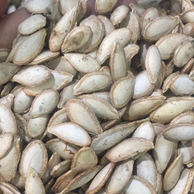 Bí nếp rang sẵn
