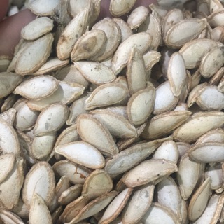 Bí nếp rang sẵn