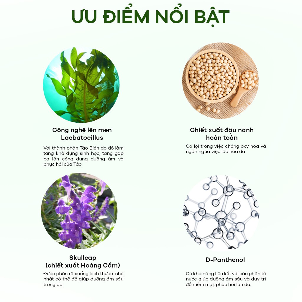 Tinh Chất Dưỡng Ẩm, Phục Hồi Da Zakka Naturals Chiết Xuất Tảo Biển Lên Men Fermented Sea Kelp Moisturizing Essence 300ml | BigBuy360 - bigbuy360.vn