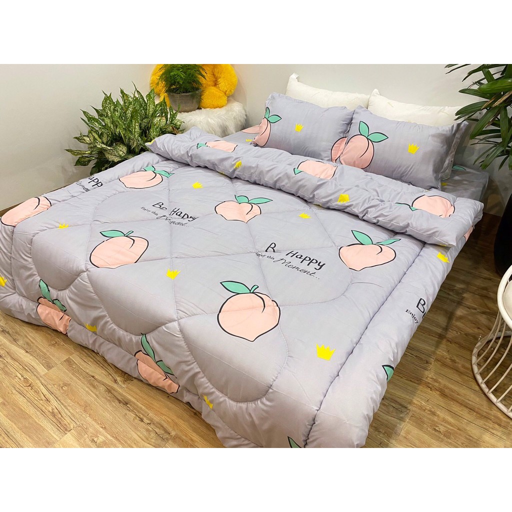 Bộ chăn phao ga gối poly cotton MẪU - đào mông