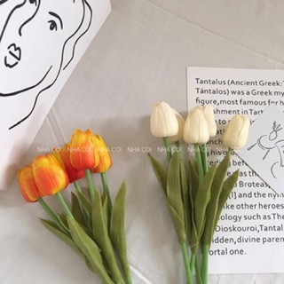 HOA TULIP SILICON DECOR