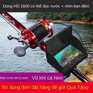 Muddy nước trực quan hình ảnh mỏ neo cá thiết bị câu cá