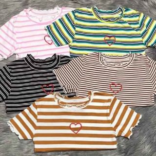 Combo 50 Áo kiểu áo thun kiểu