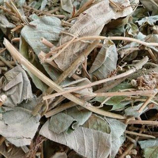 1kg kim tiền thảo