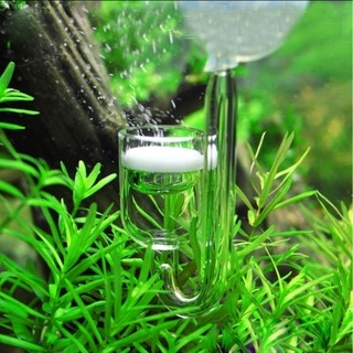 Sủi co2 siêu mịn