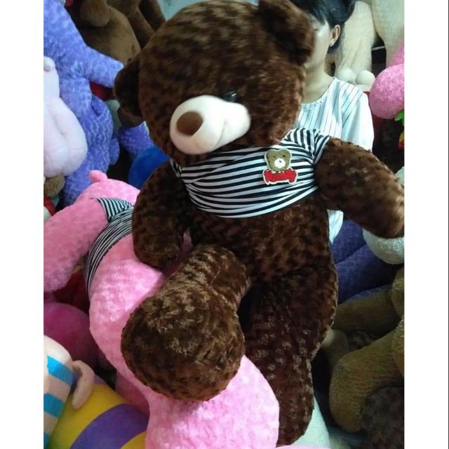 Gấu bông teddy