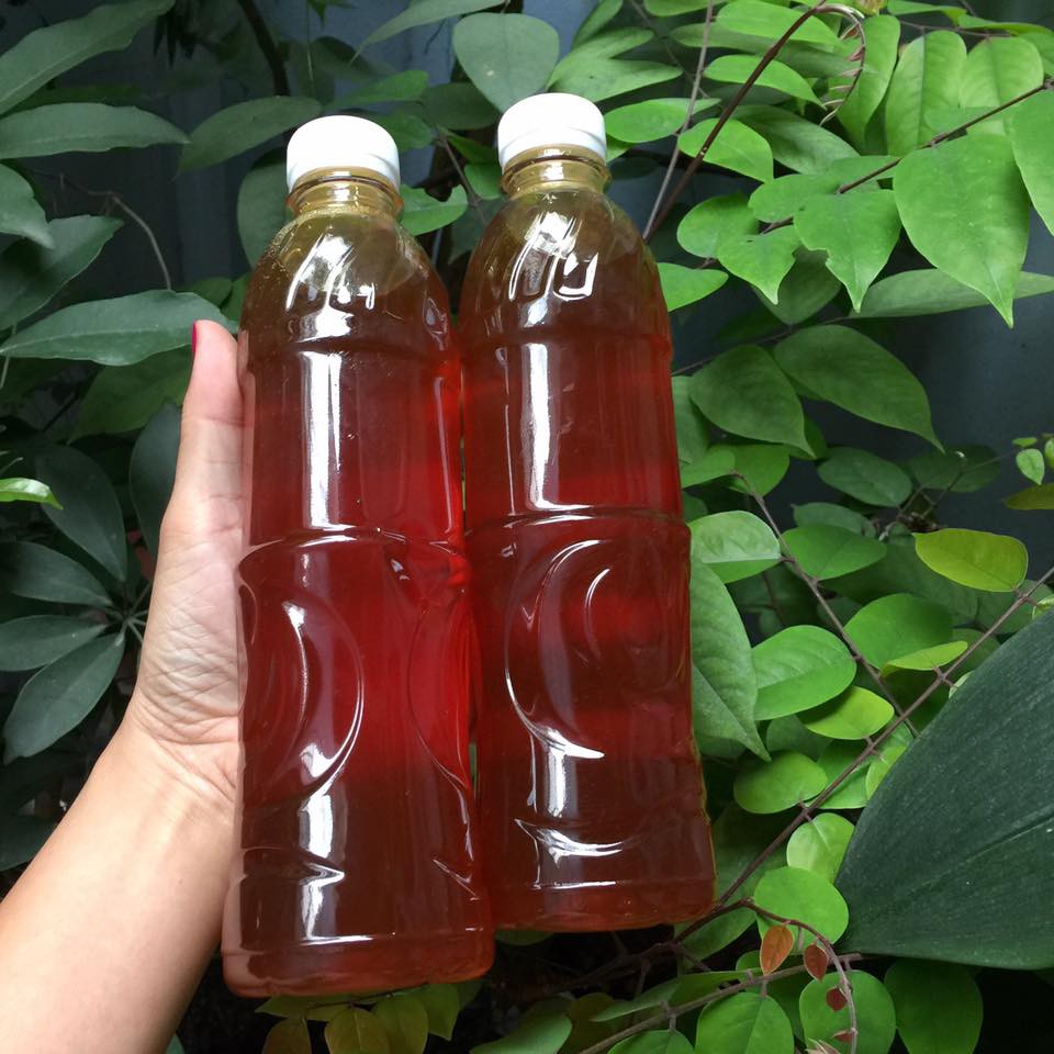 MẬT ONG HOA CÀ PHÊ 500ml