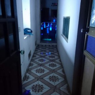 Đèn pin UV