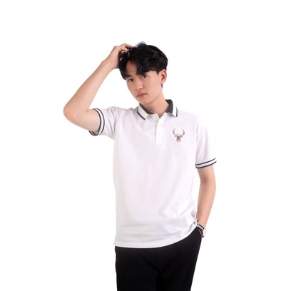 Áo thun polo nam đẹp thêu 3D MODANFIT vải Coton 100% cao cấp co dãn 3 chiều PP04