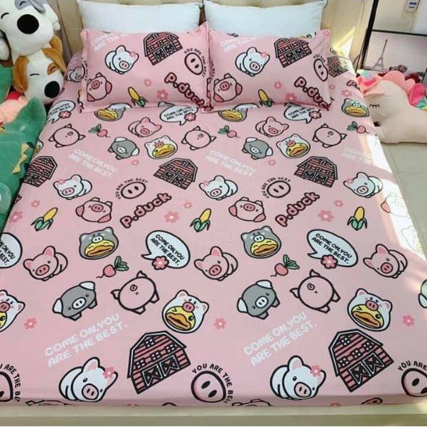Xả kho Bộ ga gối cotton poly M6 .M8 .2M2