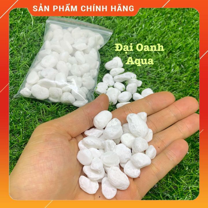 Sỏi Trắng Trang Trí Bể Cá, Chậu Cây 200 Gram